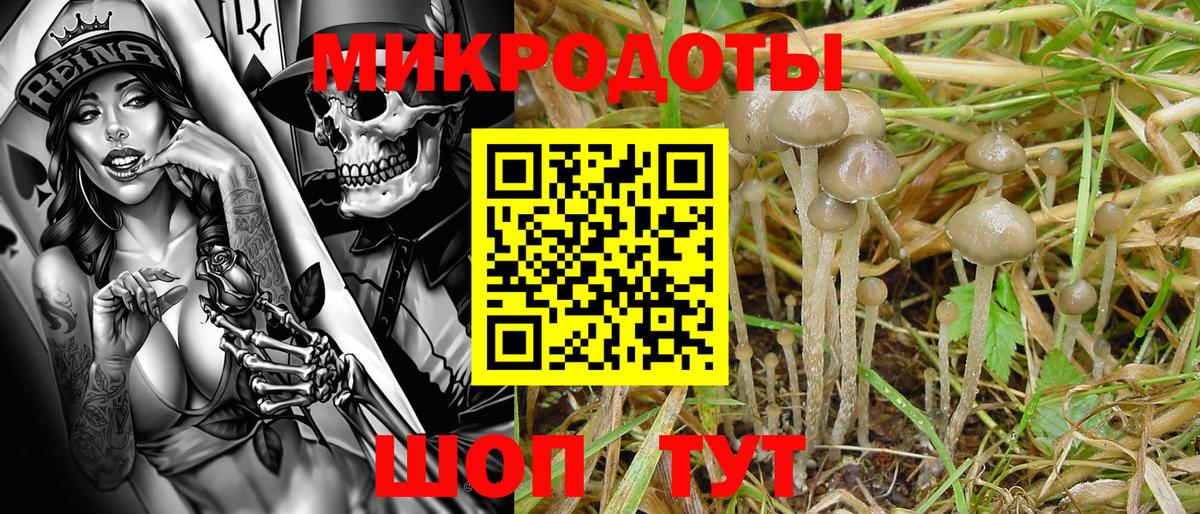 Галлюциногенные грибы прущие грибы  Вход с VPN  Ирбит 