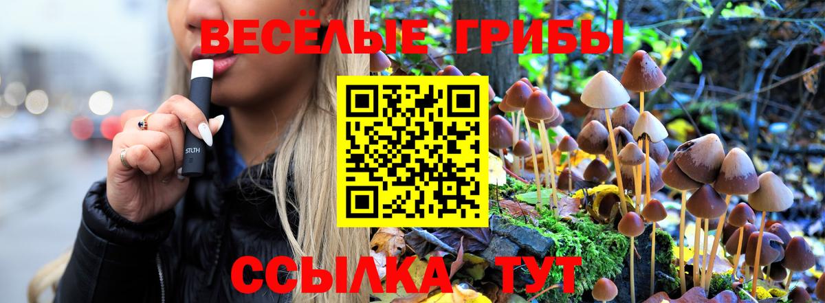 Псилоцибиновые грибы прущие грибы Ирбит